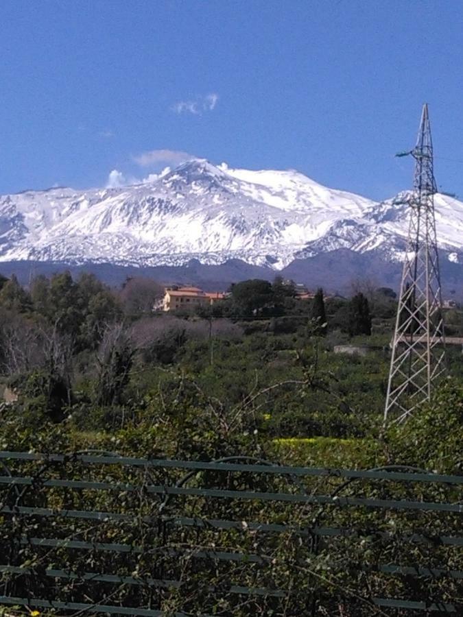 Ai Tre Archi Di Tagliaborse Villa มาสคาลิ ภายนอก รูปภาพ