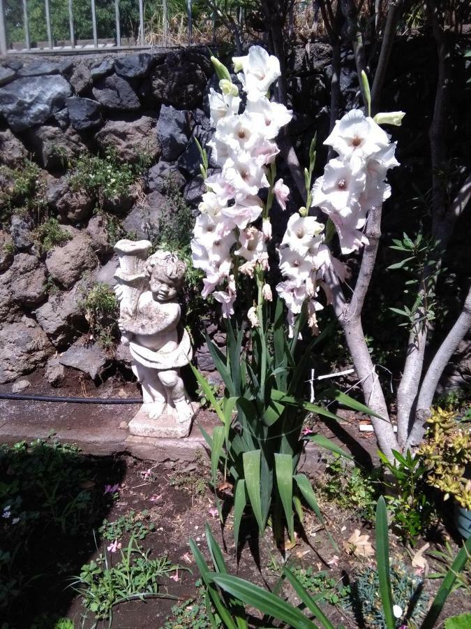 Ai Tre Archi Di Tagliaborse Villa มาสคาลิ ภายนอก รูปภาพ